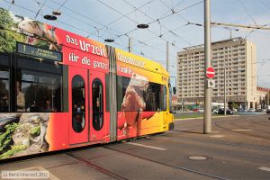 Bild: dresden2507_bk1310140307.jpg - anklicken zum Vergrößern