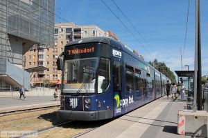 Bild: dresden2832_bk1208180109.jpg - anklicken zum Vergr&ouml;&szlig;ern