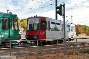 Bild: duesseldorf4275_bk1807310027.jpg - anklicken zum Vergrößern