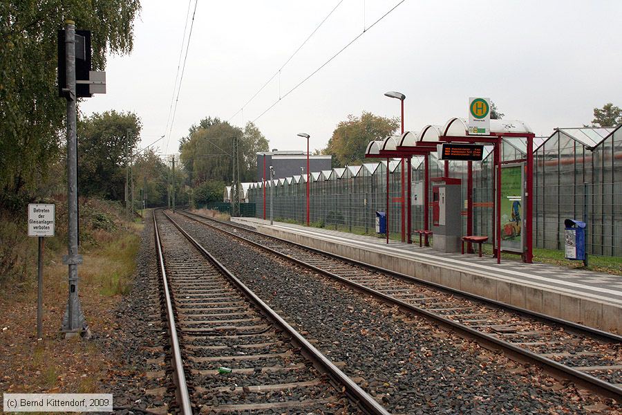 Straßenbahn Duisburg - Anlagen
/ Bild: duisburganlagen_bk0910220245.jpg