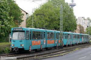 Bild: frankfurtmain709_bk0805020328.jpg - anklicken zum Vergr&ouml;&szlig;ern