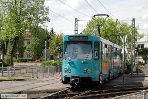 Bild: frankfurtmain723_bk0805020250.jpg - anklicken zum Vergr&ouml;&szlig;ern