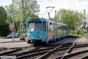 Bild: frankfurtmain723_bk0805020283.jpg - anklicken zum Vergr&ouml;&szlig;ern