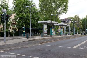 Bild: frankfurtmainanlagen_bk1905070081.jpg - anklicken zum Vergrößern