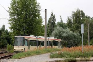 Bild: frankfurtoder308_bk1407210244.jpg - anklicken zum Vergrößern Bild: frankfurtoder308_bk1407210244.jpg - anklicken zum Vergrößern