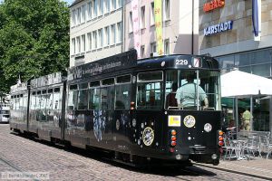 Bild: freiburg229_bk0708060137.jpg - anklicken zum Vergrößern