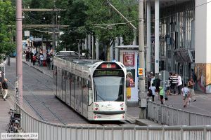 Bild: freiburg284_bk1408120364.jpg - anklicken zum Vergrößern
