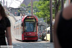 Bild: freiburg287_bk1408010402.jpg - anklicken zum Vergrößern