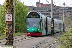 Bild: freiburg287_bk1604220113.jpg - anklicken zum Vergrößern