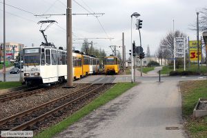 Bild: gera350_cw1004160067.jpg - anklicken zum Vergrößern Bild: gera350_cw1004160067.jpg - anklicken zum Vergrößern