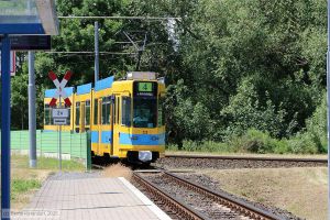 Bild: gotha223_bk2506260182.jpg - anklicken zum Vergr&ouml;&szlig;ern