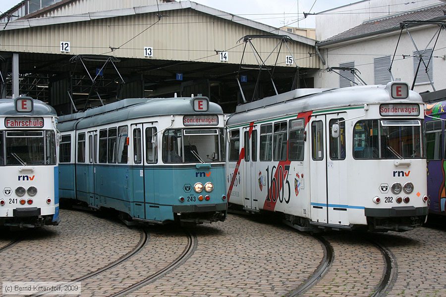 Straßenbahn Heidelberg - 202
/ Bild: hsb202_bk0906070061.jpg