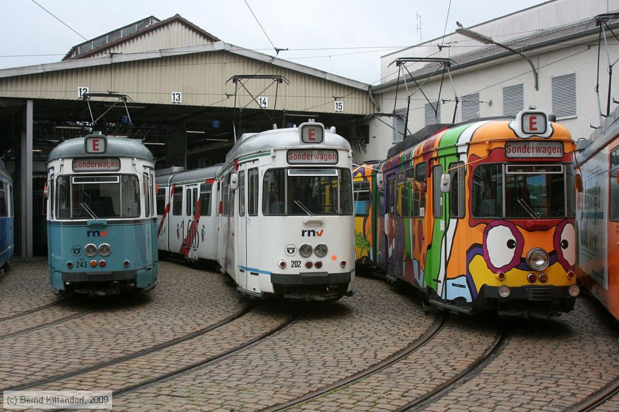 Straßenbahn Heidelberg - 202
/ Bild: hsb202_bk0906070068.jpg