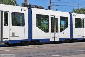 Bild: rnv3256_bk2506290139.jpg - anklicken zum Vergr&ouml;&szlig;ern