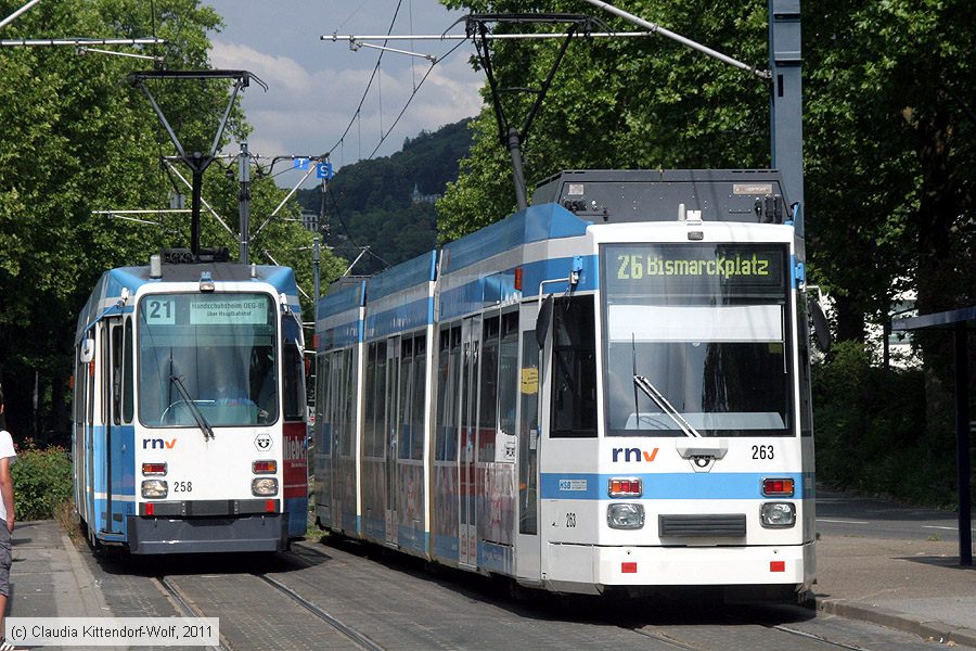 Straßenbahn Heidelberg - 263
/ Bild: hsb263_cw1107060217.jpg
