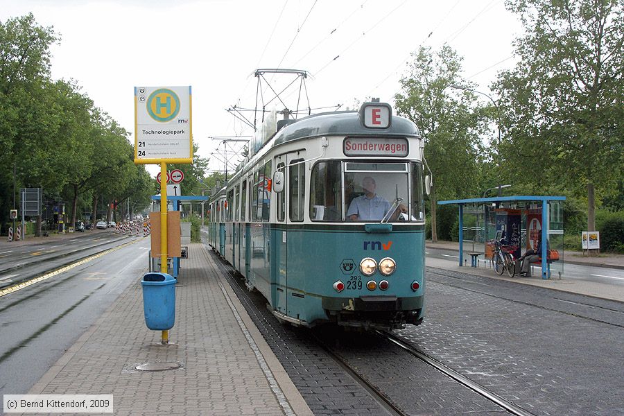 Straßenbahn Heidelberg - 293 (239)
/ Bild: hsb293239_bk0906070325.jpg