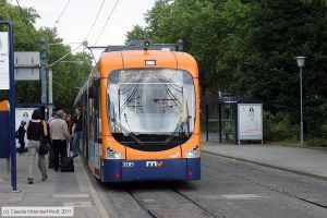 Bild: rnv3285_cw1107060213.jpg - anklicken zum Vergrößern