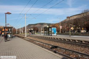 Bild: jenaanlagen_bk1511120045.jpg - anklicken zum Vergrößern