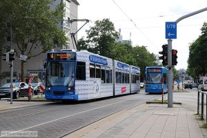 Bild: kassel465_bk1908130250.jpg - anklicken zum Vergrößern