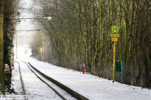 Bild: kasselanlagen_e0013038.jpg - anklicken zum Vergrößern