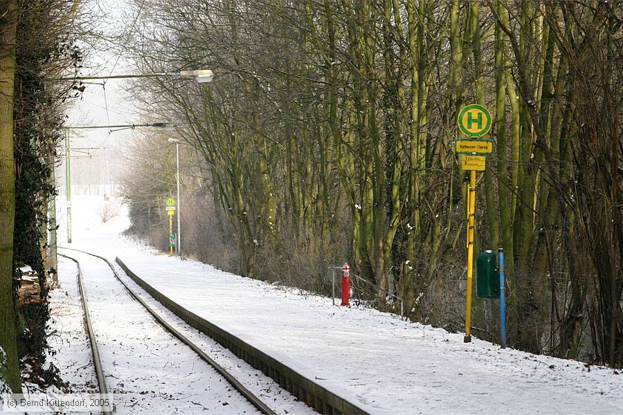 Straßenbahn Kassel - Anlagen
/ Bild: kasselanlagen_e0013038.jpg