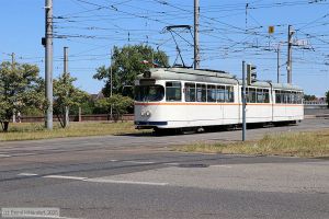 Bild: rnv2156_bk2506290056.jpg - anklicken zum Vergrößern