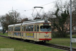 Bild: vbl156_bk0803100172.jpg - anklicken zum Vergrößern