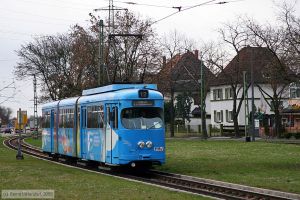 Bild: vbl157_bk0803100152.jpg - anklicken zum Vergrößern