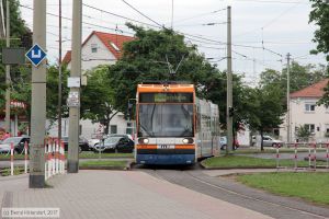 Bild: rnv2202_bk1705180001.jpg - anklicken zum Vergrößern