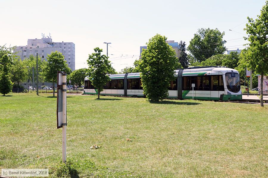 Straßenbahn Ludwigshafen - 2217
/ Bild: rnv2217_bk1805070003.jpg