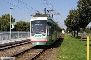 Bild: magdeburg1331_cw0708050026.jpg - anklicken zum Vergrößern