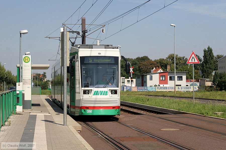 Straßenbahn Magdeburg - 1350
/ Bild: magdeburg1350_cw0708050029.jpg