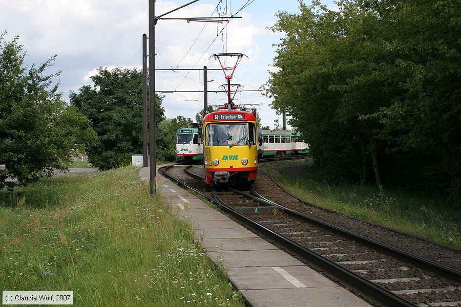 Straßenbahn Magdeburg - 1248
/ Bild: magdeburg1248_cw0708030113.jpg