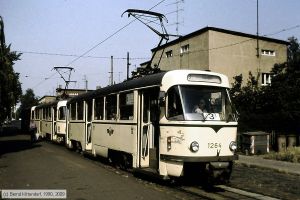 Bild: magdeburg1264_df121811.jpg - anklicken zum Vergrößern