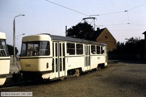 Bild: magdeburg1265_df121812.jpg - anklicken zum Vergrößern