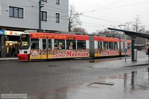 Bild: mainz206_bk1512120041.jpg - anklicken zum Vergrößern