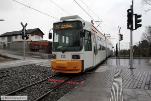 Bild: mainz211_bk1701040055.jpg - anklicken zum Vergrößern