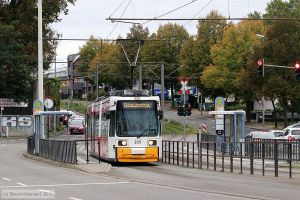 Bild: mainz215_bk1910050028.jpg - anklicken zum Vergrößern