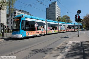 Bild: mainz217_bk1705100092.jpg - anklicken zum Vergrößern