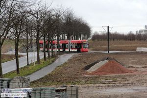 Bild: mainz221_bk1701040077.jpg - anklicken zum Vergrößern