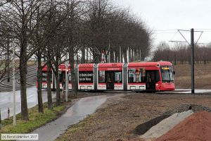 Bild: mainz221_bk1701040078.jpg - anklicken zum Vergrößern