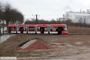 Bild: mainz221_bk1701040079.jpg - anklicken zum Vergrößern