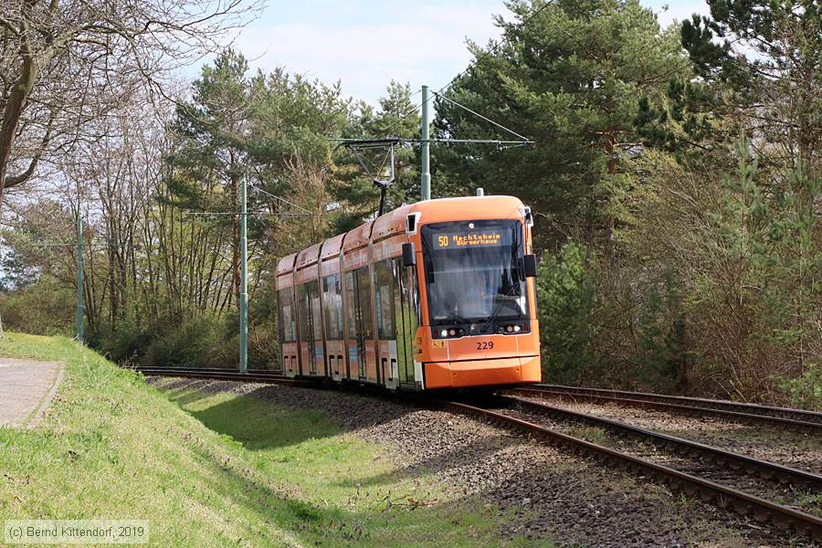 Straßenbahn Mainz - 229
/ Bild: mainz229_bk1903290044.jpg