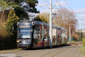 Bild: mainz231_bk1903290085.jpg - anklicken zum Vergrößern