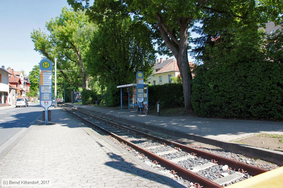 Straßenbahn Mainz - Anlagen
/ Bild: mainzanlagen_bk1705100099.jpg