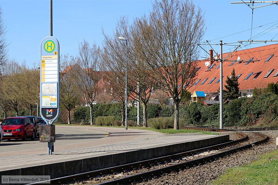 Straßenbahn Mainz - Anlagen
/ Bild: mainzanlagen_bk1903210048.jpg