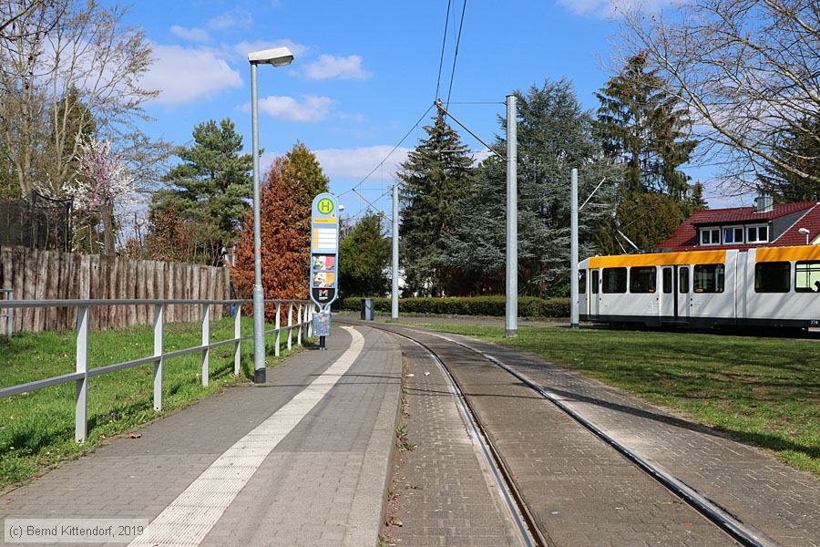 Straßenbahn Mainz - Anlagen
/ Bild: mainzanlagen_bk1903290081.jpg