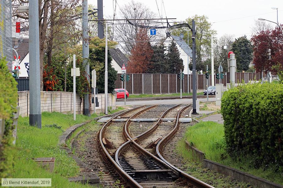 Straßenbahn Mainz - Anlagen
/ Bild: mainzanlagen_bk1904120067.jpg