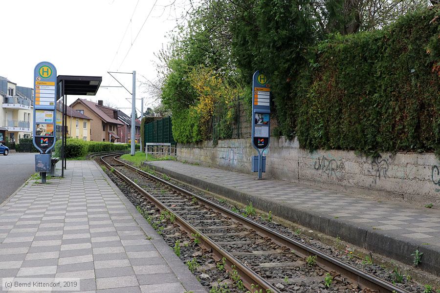 Straßenbahn Mainz - Anlagen
/ Bild: mainzanlagen_bk1904120068.jpg