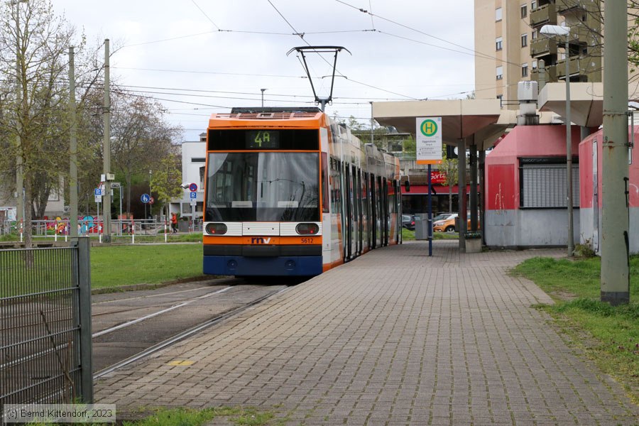 Straßenbahn Mannheim - 5612
/ Bild: rnv5612_bk2304130001.jpg
